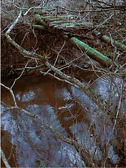 correction par couleur unie